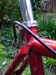 Bild 003